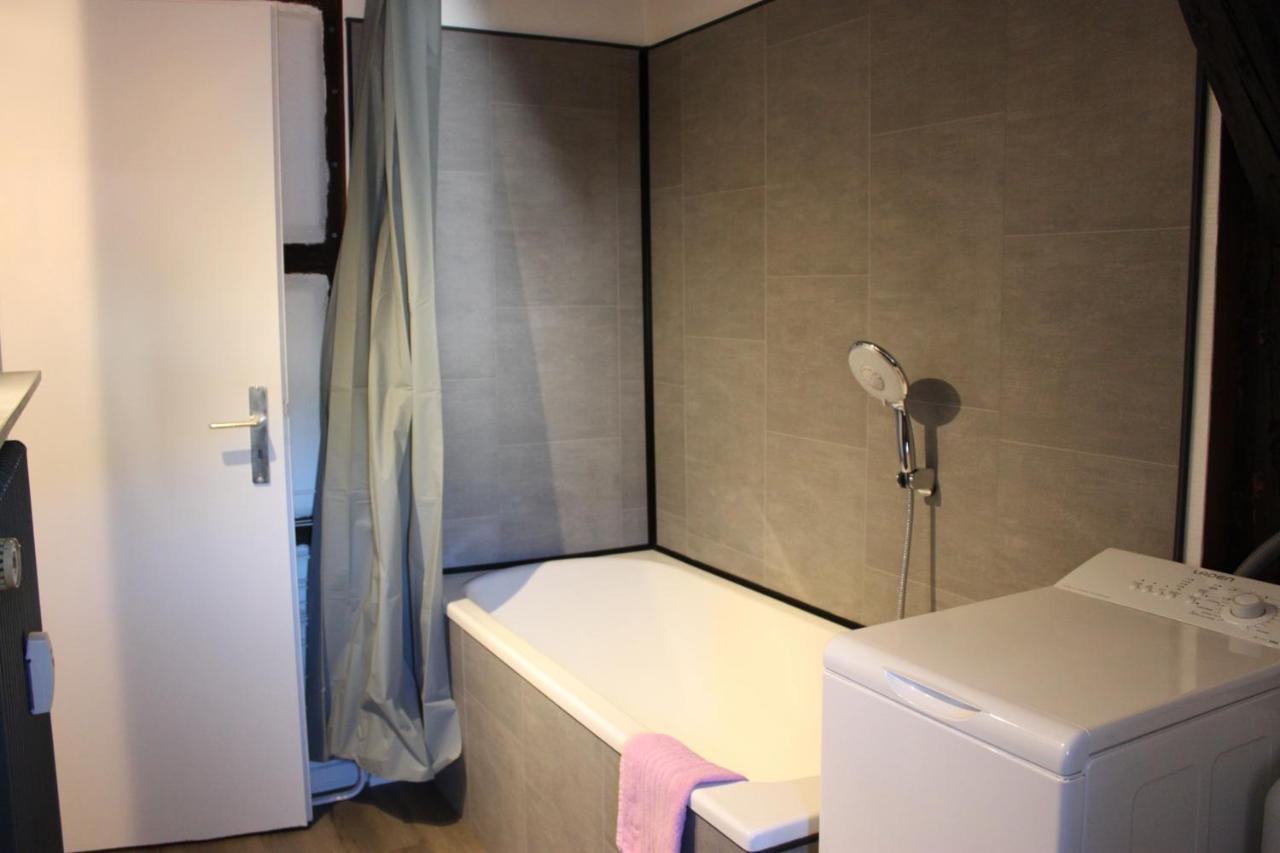 Appartement Les Violettes กอลมาร์ ภายนอก รูปภาพ